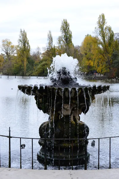 DSC_0561 (Large).JPG